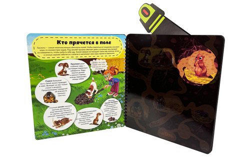 Книжка с фонариком "Что там под Землей"