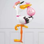 G Аист ходячий выписка девочка (БГ-60)