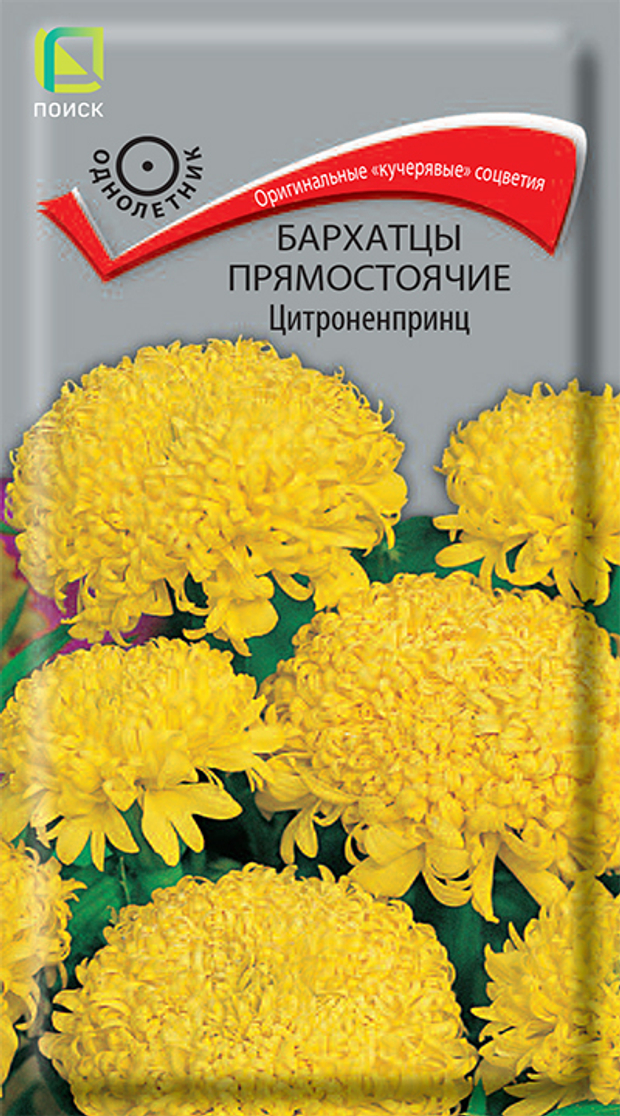 Бархатцы прямостоячие Цитроненпринц