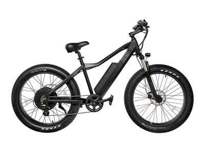 Электро-фэтбайк Медведь Hump 1000