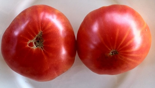 Колесо Телеги Wagon Wheel