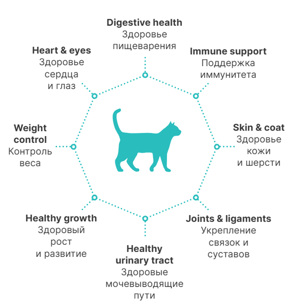 PREMIER Свежее филе лосося с индейкой для взрослых стерилизованных кошек