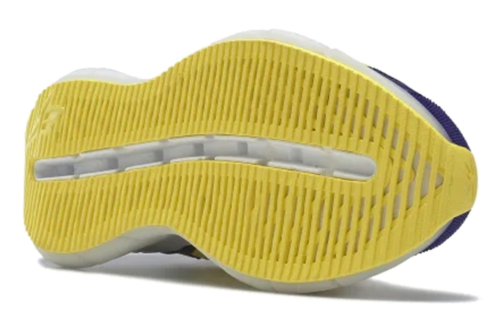 Кроссовки Angus Chiang X Reebok Zig Kinetica Concept_Type 2