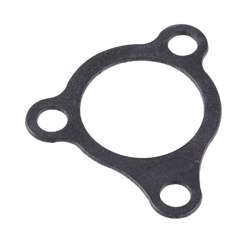 Прокладка крышки термостата Suzuki DT9.9/15 (A)