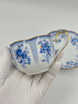 Кофейная пара HOYA