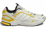 Кроссовки Adidas Spiritain 2000 Gore-Tex