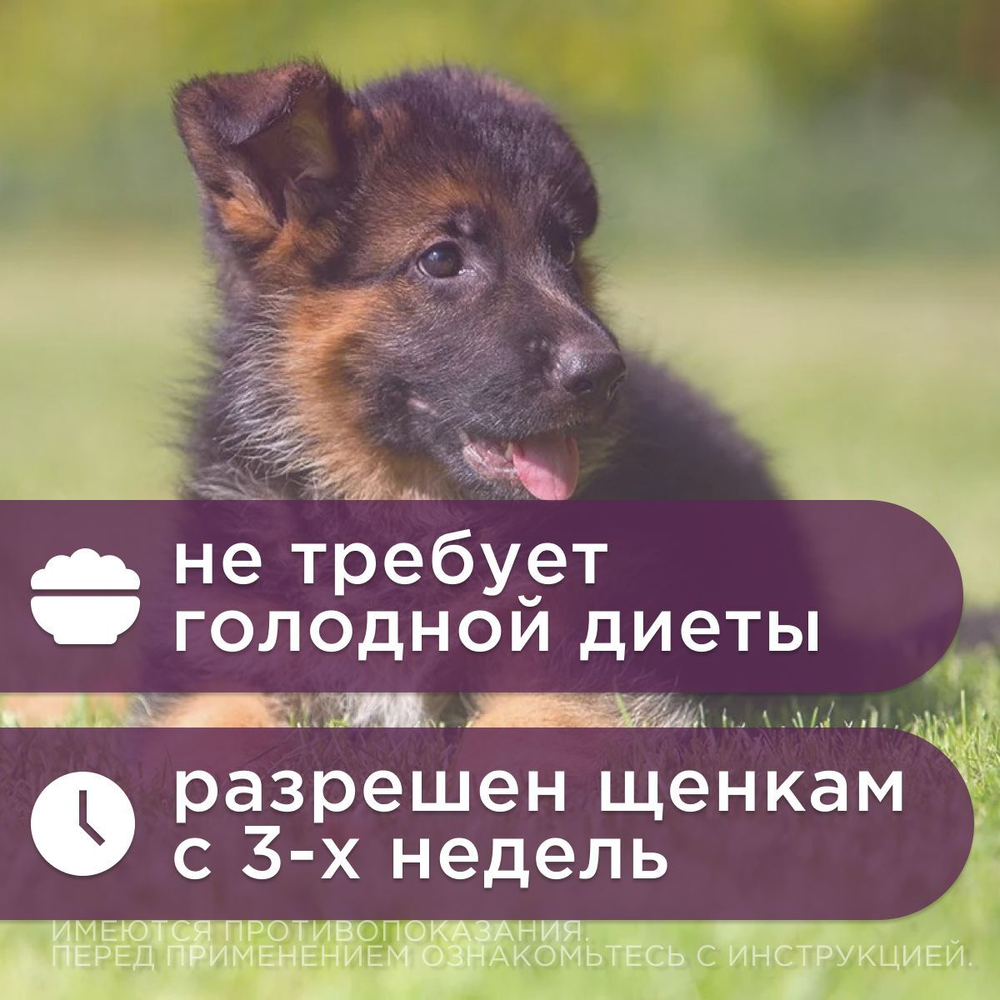 Таблетки от гельминтов для собак крупных пород со вкусом мяса Дехинел Плюс (KRKA), 12таб. Фебантел/Пирантел/Празиквантел