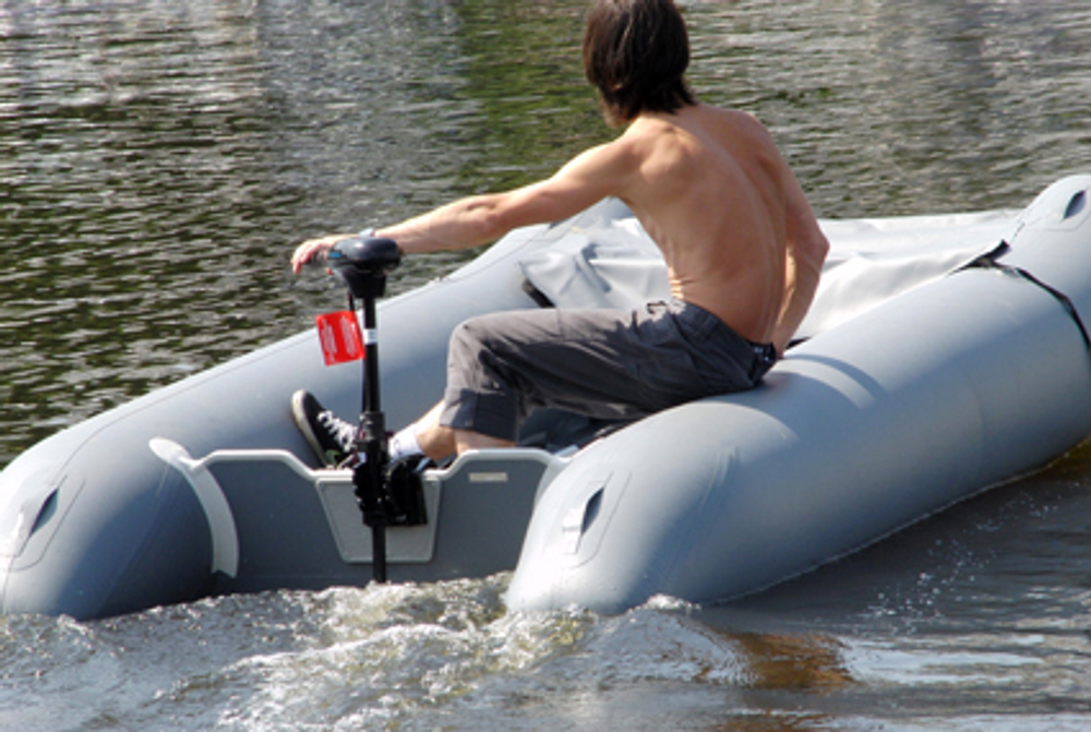 Электрический мотор WaterSnake FWT30TH / 26