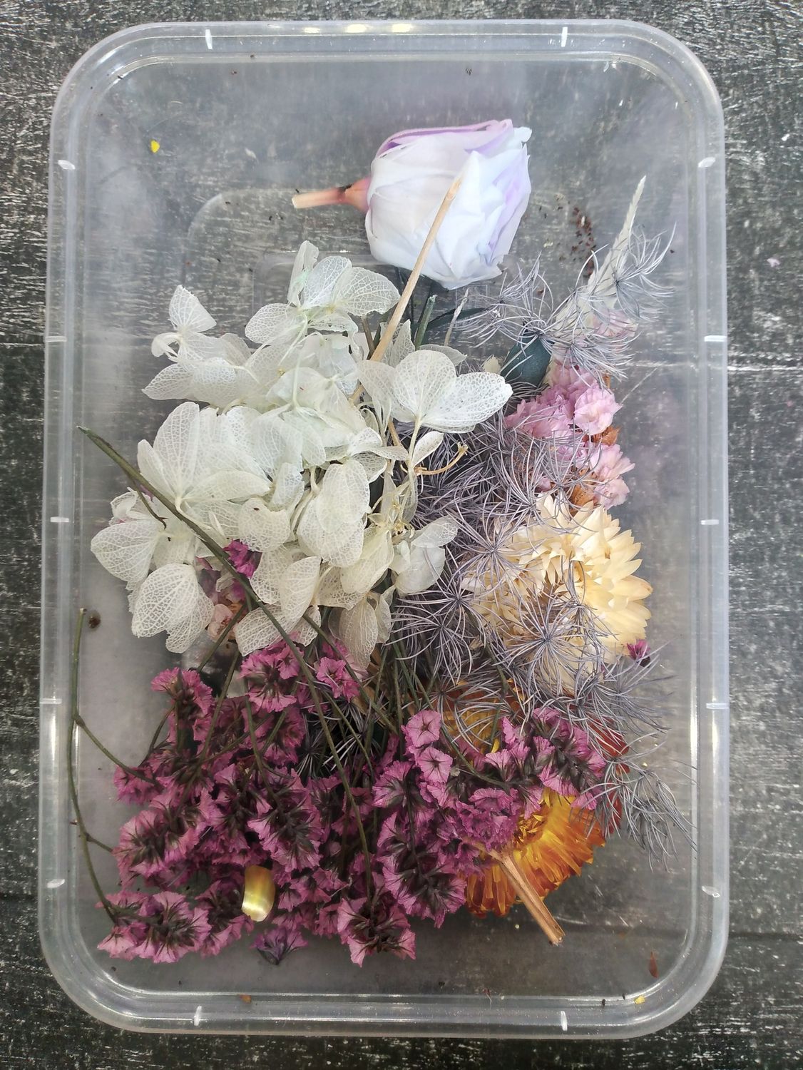 сухоцветы в коробке -006