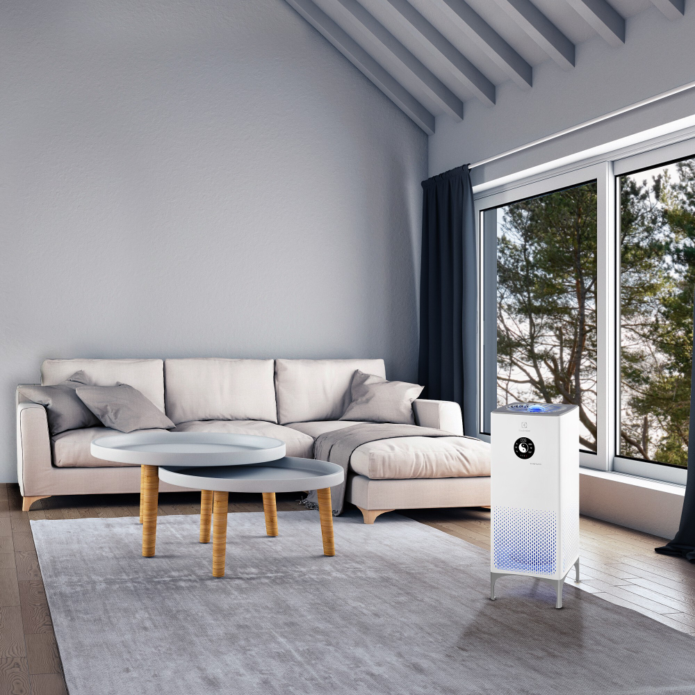 Очиститель воздуха Electrolux EAP-2075D