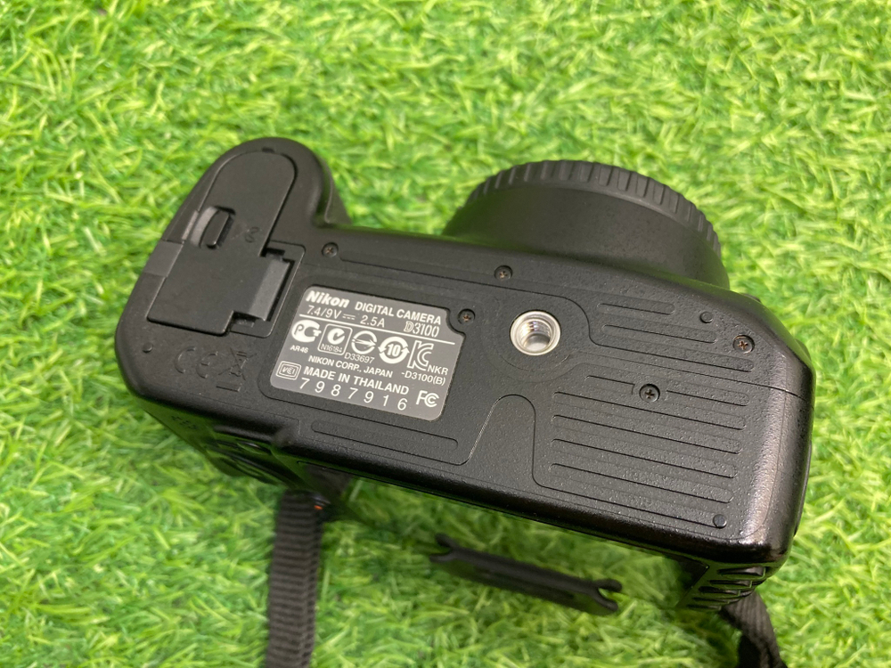 Nikon D3100 (24.000 кадров)