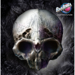 Rockets / Another Future (Coloured Vinyl)(LP)