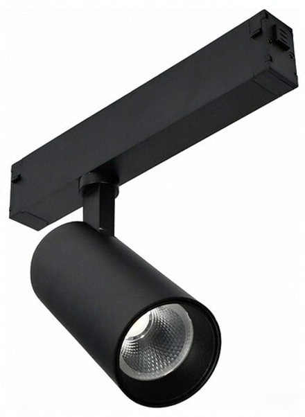 Светильник на штанге ST-Luce SKYLINE 220 ST660.446.20H