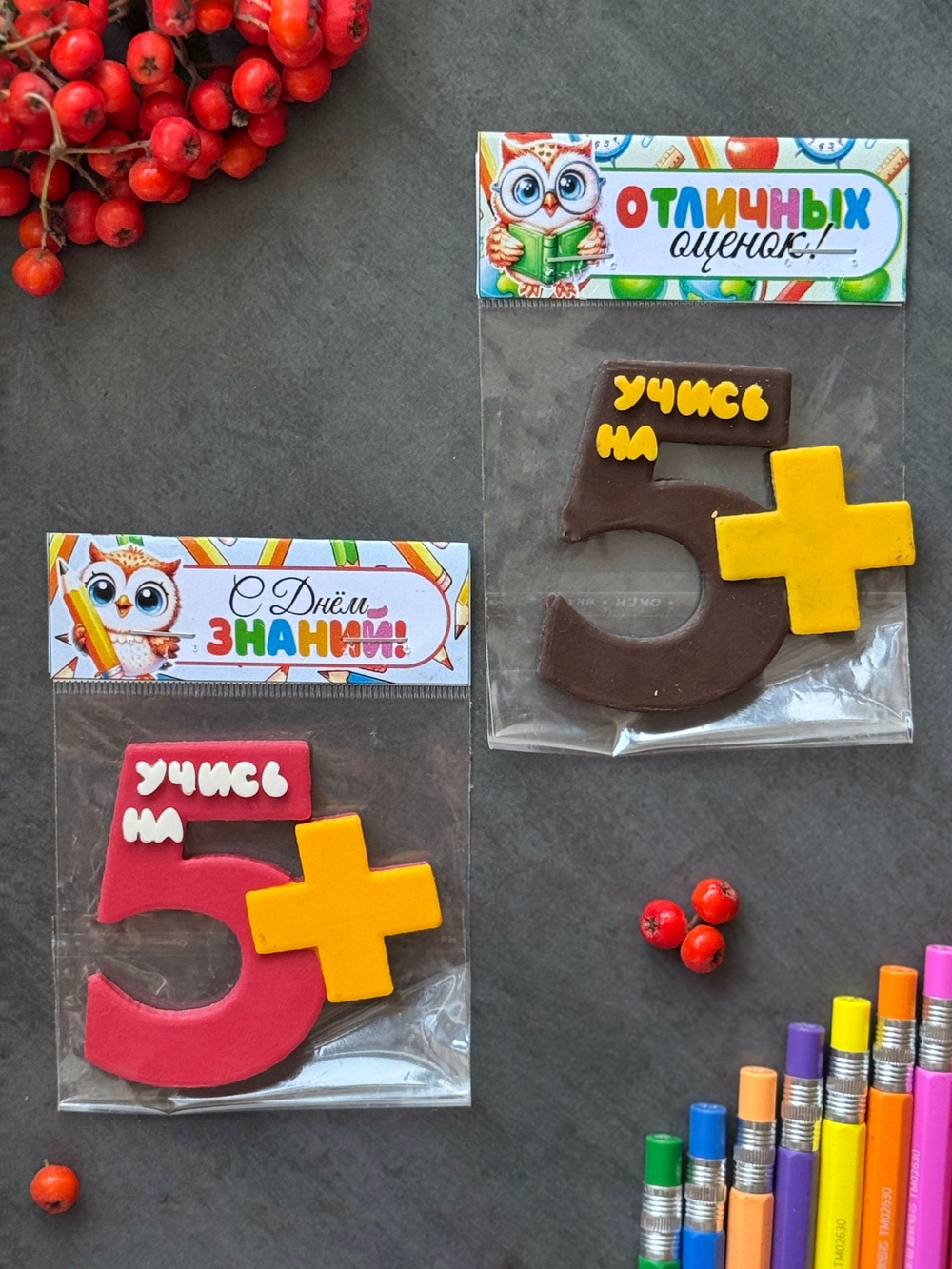 "Учись на 5" 7см - 1 сентября