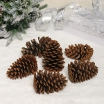 Композиция новогодняя «Шишки из леса» (набор 6 шт) 14 см