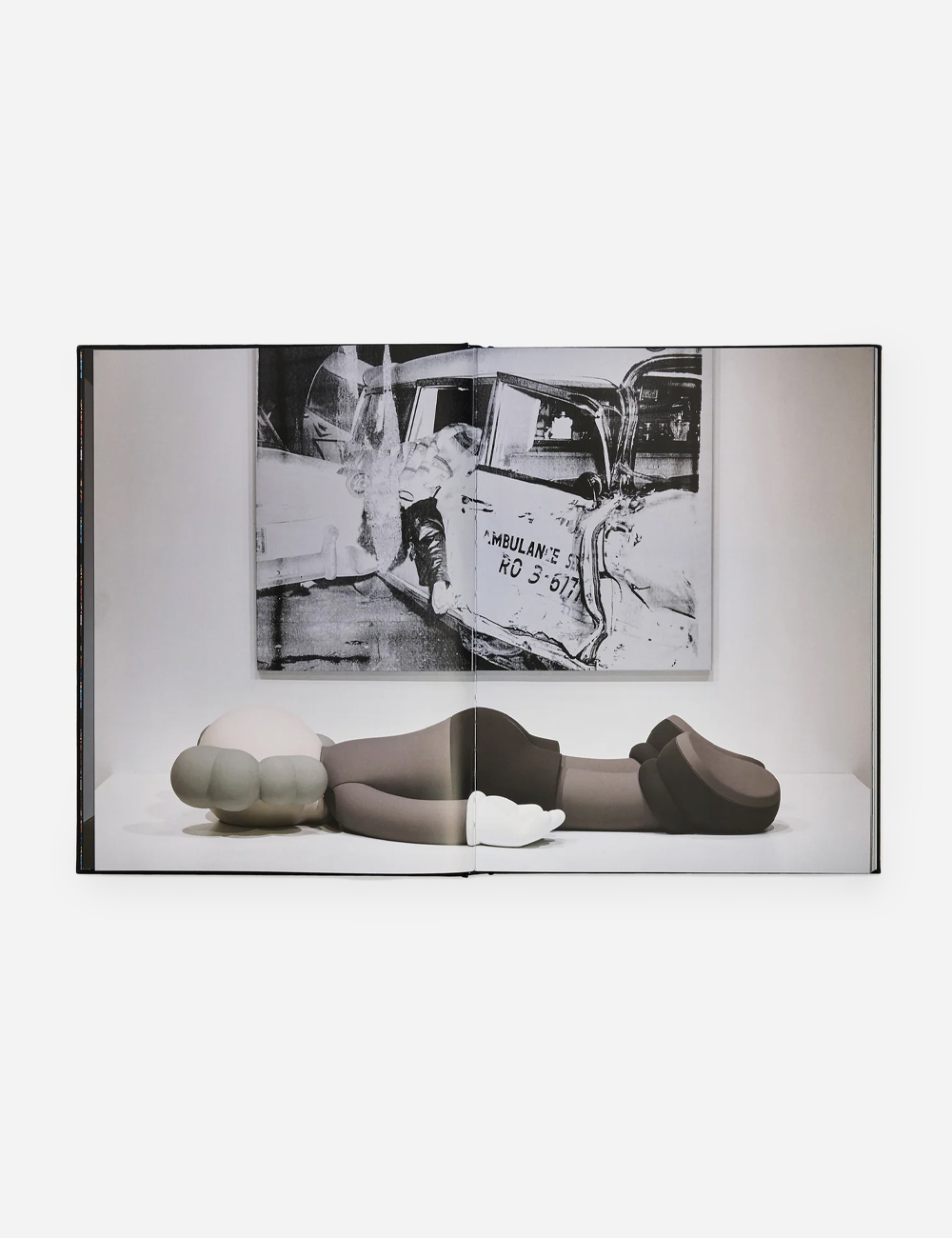 Книга KAWS + Warhol