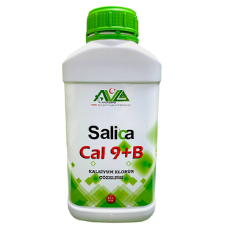Salica CAL 9+B 5л оксид кальция для растений+Бор