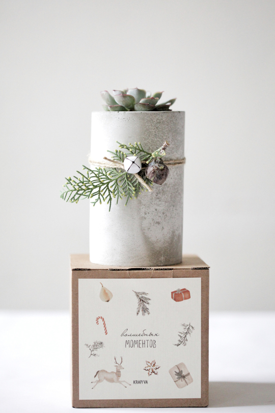 Новогодний набор с суккулентом № 15