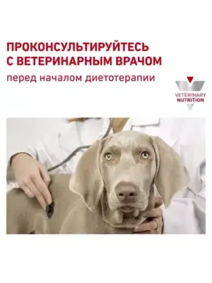 Корм для собак мелких пород, Royal Canin Urinary S/O Small Dog USD 20, при лечении и профилактике мочекаменной болезни