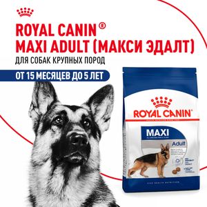 Сухой корм Royal Canin Maxi Adult для взрослых собак крупных размеров от 15 месяцев до 5 лет