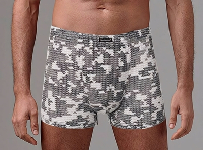 Мужские трусы-боксеры с камуфляжным принтом (Размер: L) (Цвет: серый)