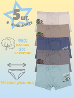 Боксеры для мальчика (5 штук в упаковке)