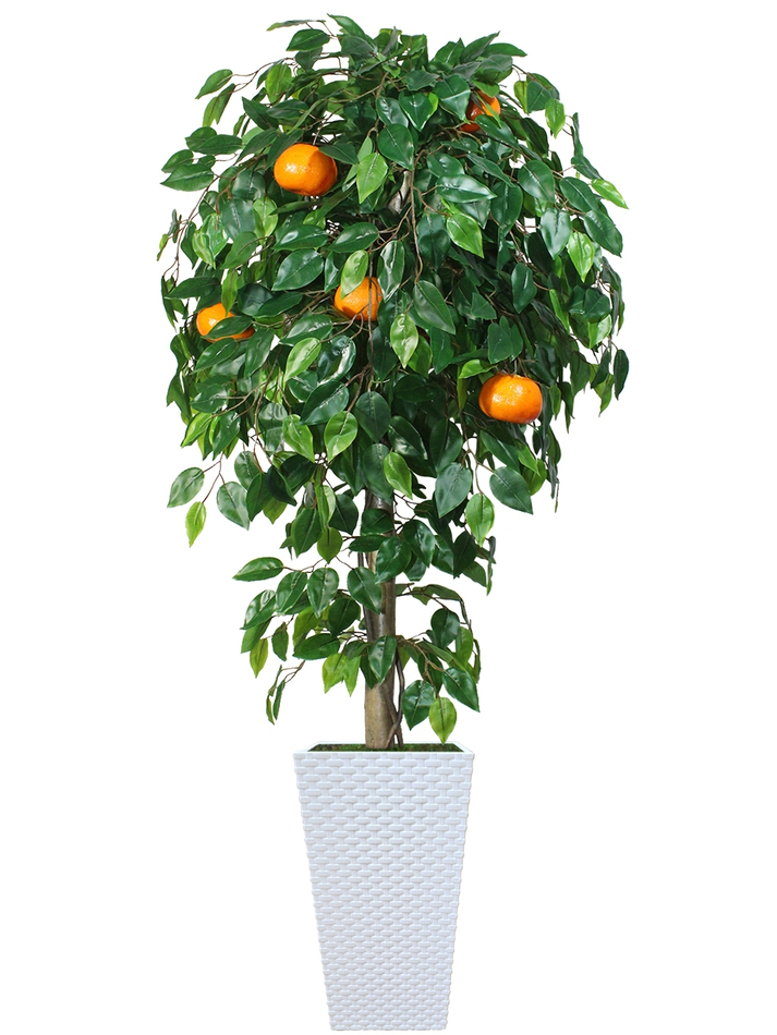Искусственное дерево Мандарин 150см в белом кашпо ротанг
