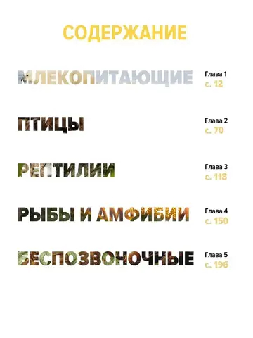 Тайны животных. Большая иллюстрированная энциклопедия