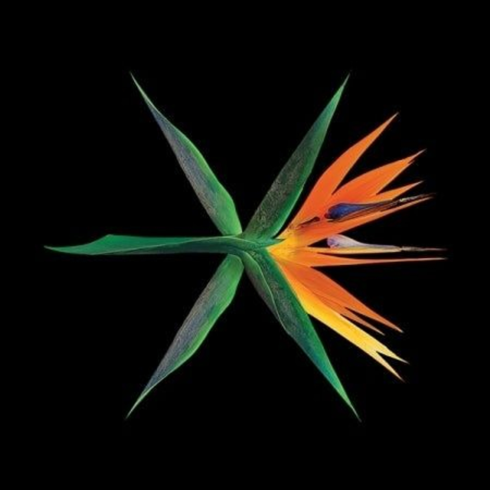 Альбом EXO - The War 4th Album CHINESE RANDOM Version