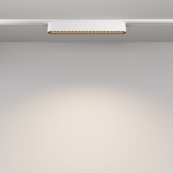 Трековый магнитный светильник Maytoni Basis Grid TR084-1-12W4K-W