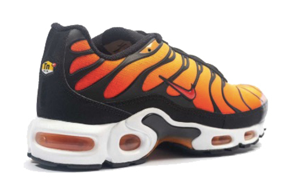 Кроссовки Nike Air Max Plus Og