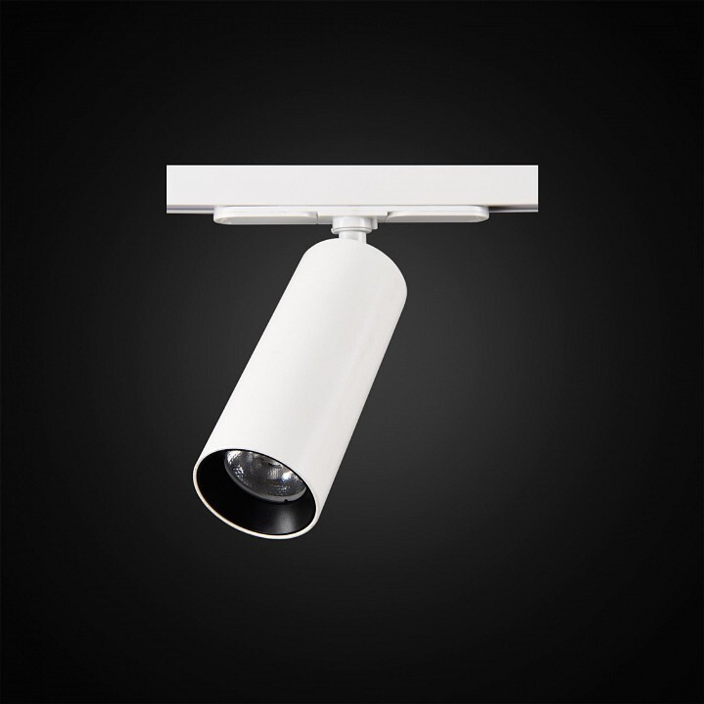 Трековый светильник Citilux CL01T120N