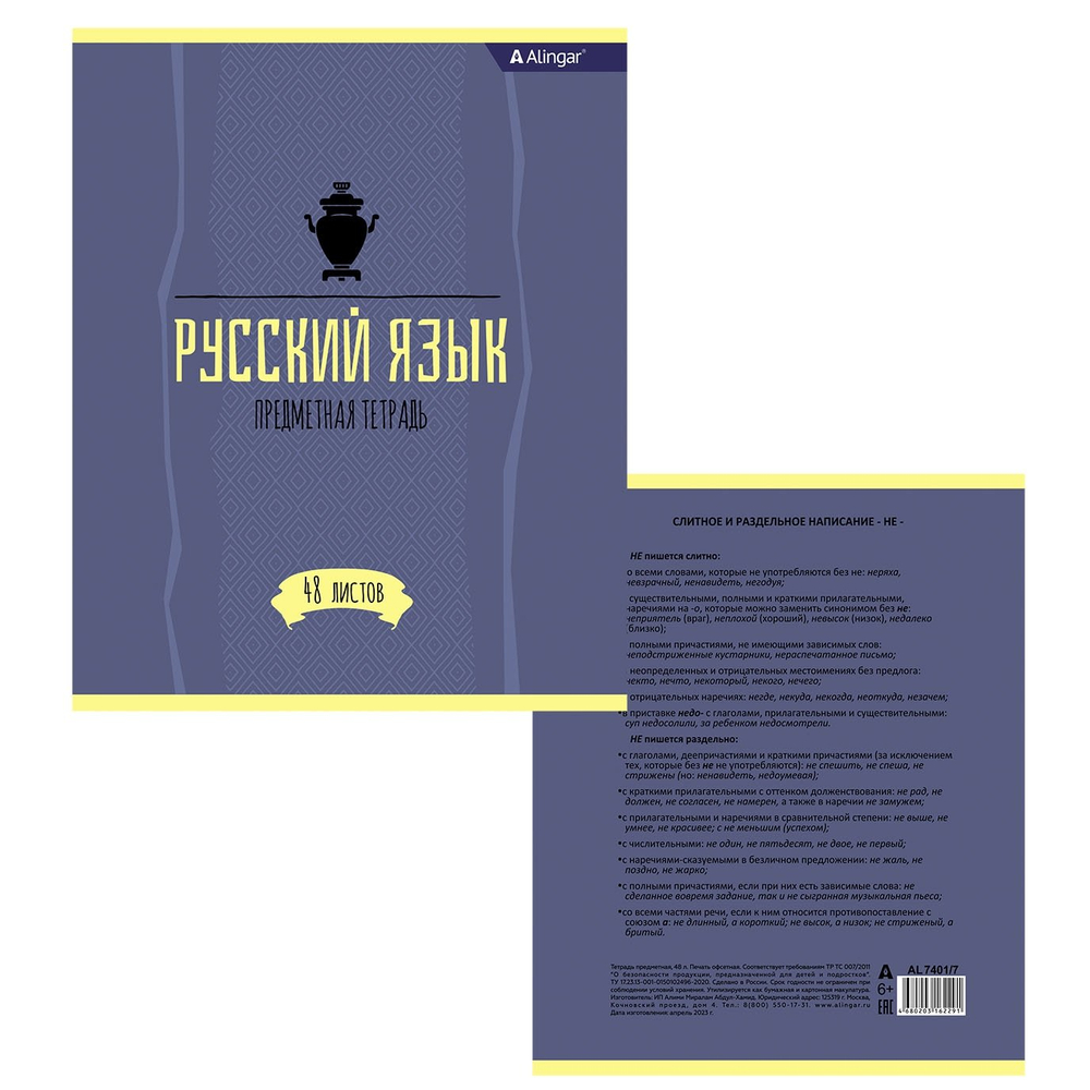Тетрадь предметная "Русский язык" А5 48л., со справочным материалом, скрепка, мелованный картон (стандарт), блок офсет, Alingar "Простое решение"