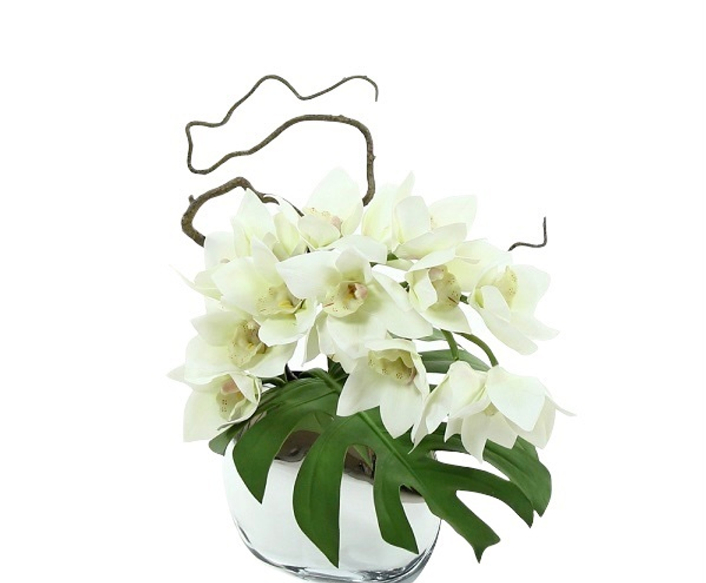 Орхидея Симбидиум в кашпо