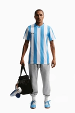 Штаны Nike Park 26 - серый