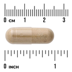 Swanson Vitamins, Full Spectrum®, пассифлора, 500 мг, 60 капсул