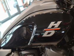 Harley-Davidson Pan America - Тестовый парк 2021 (С НДС)