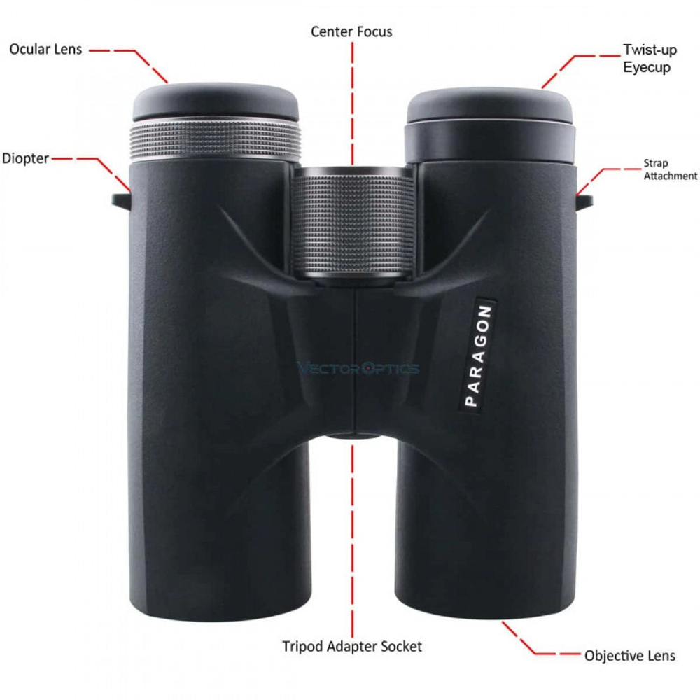 Бинокль Vector Optics Paragon с увеличением 8x42