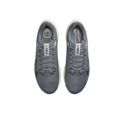 Мужские кроссовки Nike Air Pegasus 40 PRM 'Smoke Grey Racer Blue' FB7179-002