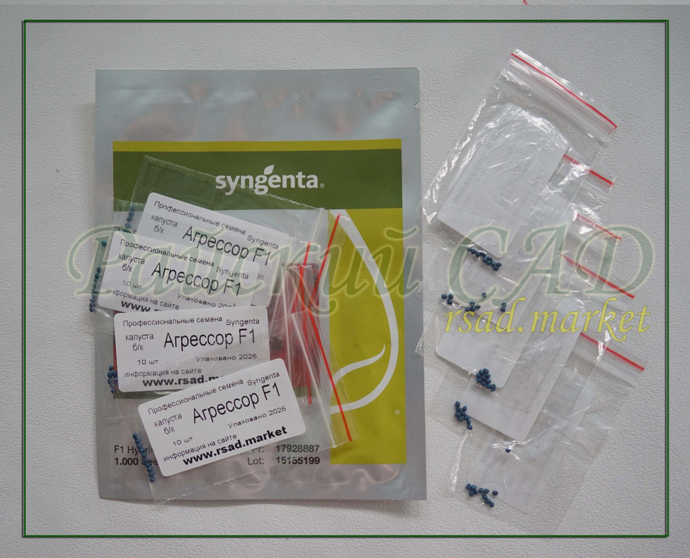 Капуста белокочанная Агрессор F1 (Syngenta / Сингента) 10 шт.