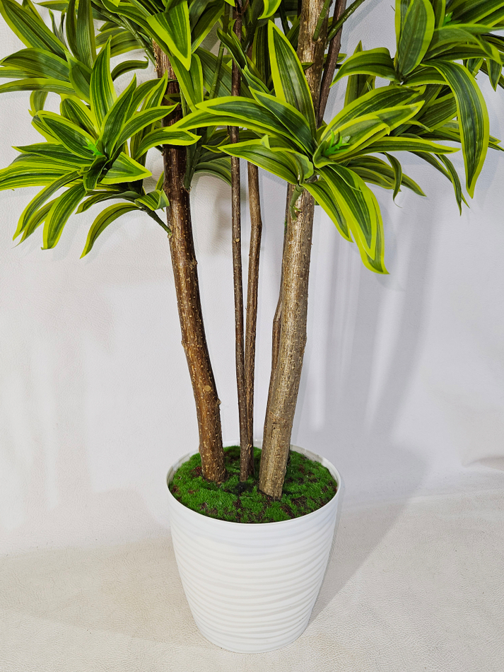 Искусственная Драцена Рефлекса желтая 110см в горшке