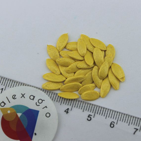 МЕРТУС F1 семена огурца Rijk Zwaan цена