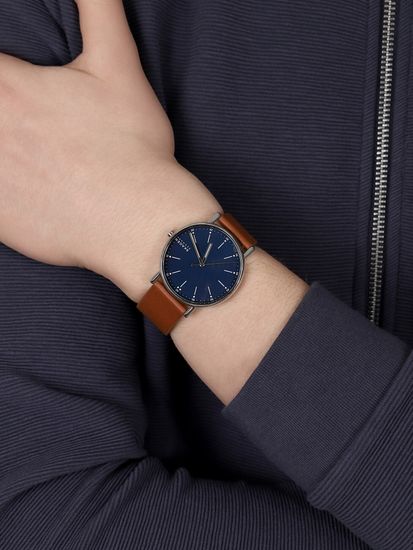 Мужские часы Skagen SKW6355