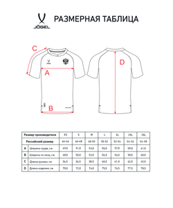 Футболка разминочная JOGEL NATIONAL PerFormDRY Pre-Match Tee, сине-красный