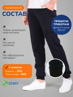 Штаны спортивные брюки утепленные с начесом