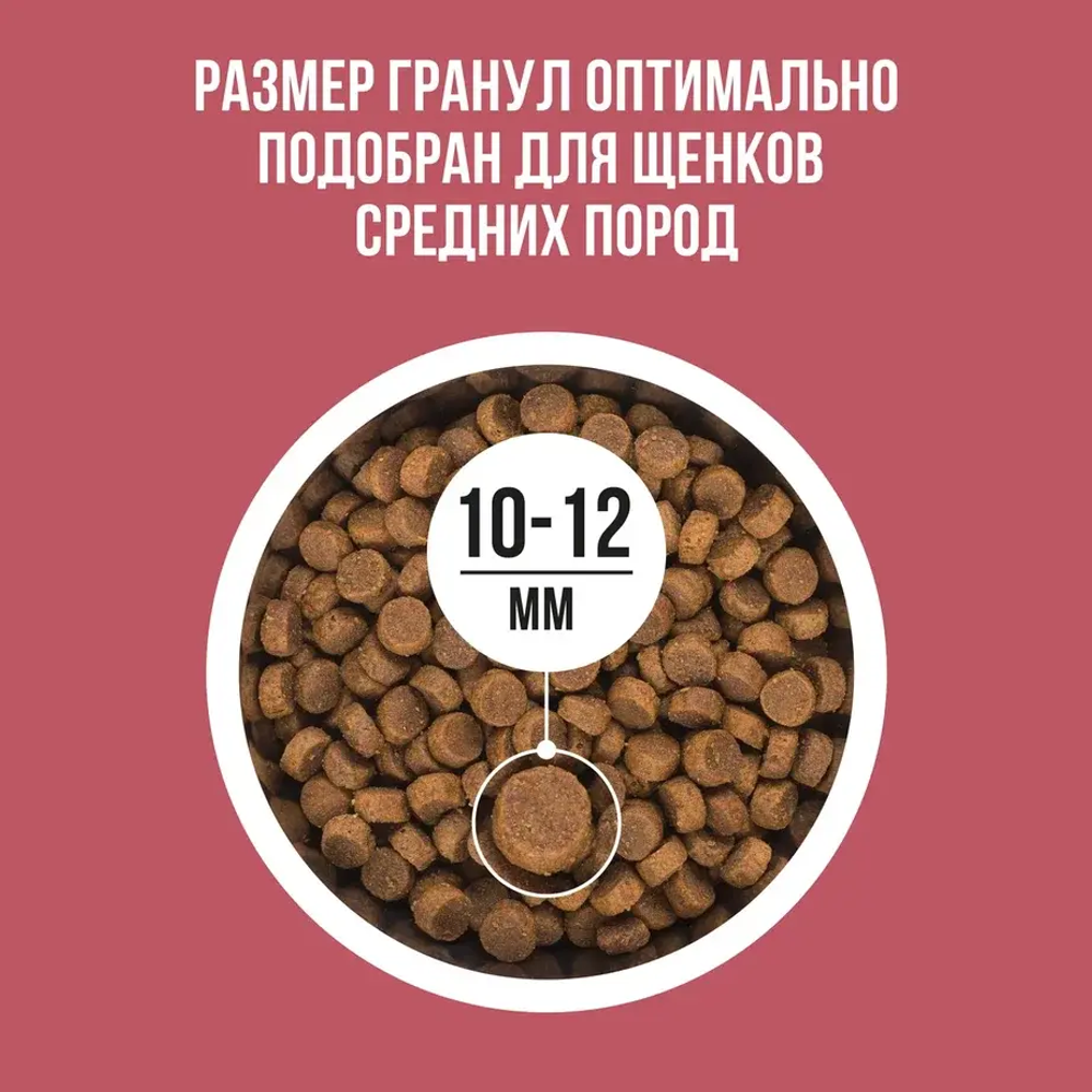 Сухой корм для собак для щенков средних пород с индейкой, рисом, клюквой BOWL WOW 5кг