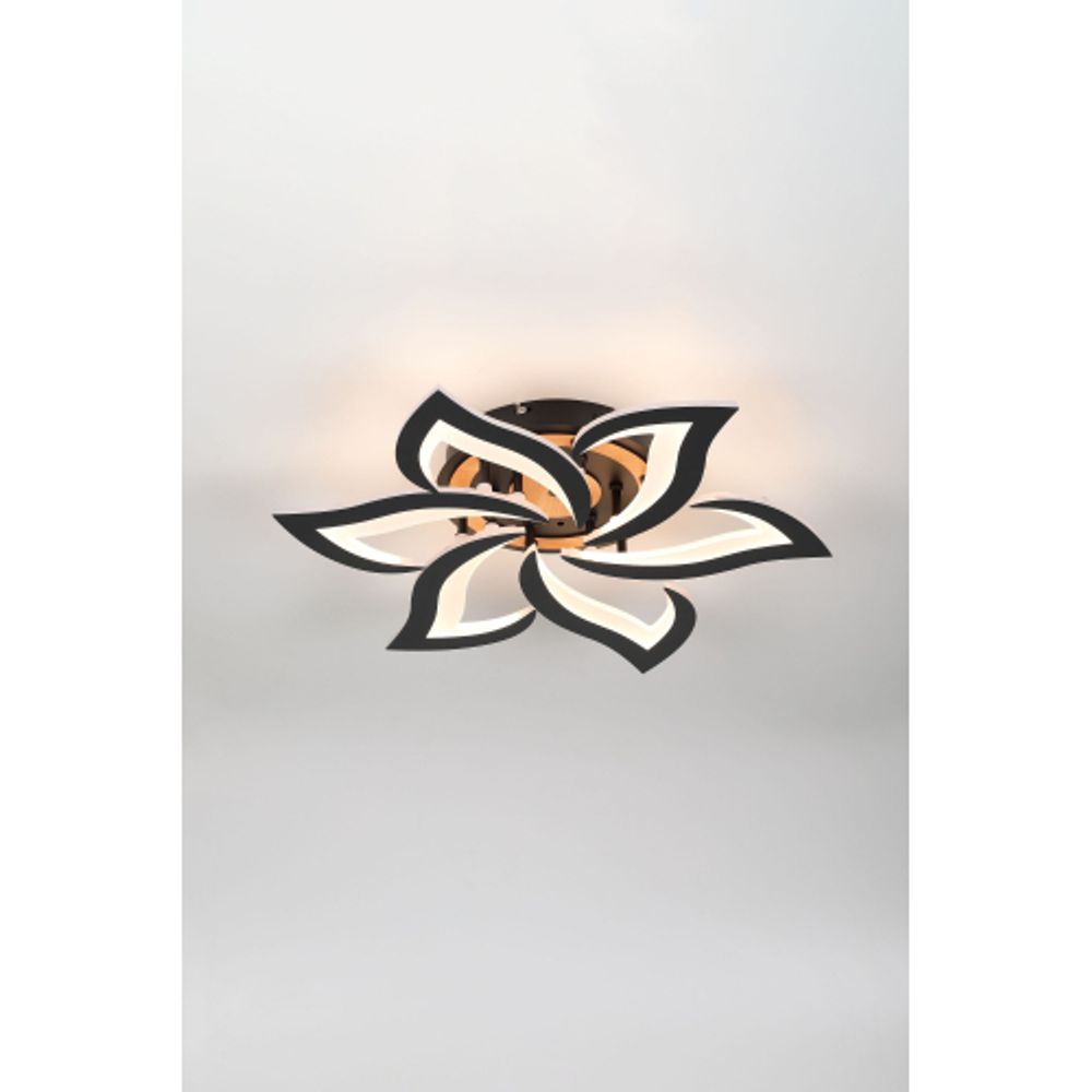 Светильник потолочный светодиодный Rivoli Cassandra 6194-733 LED 3000-6250К 84 Вт с пультом | Rivoli