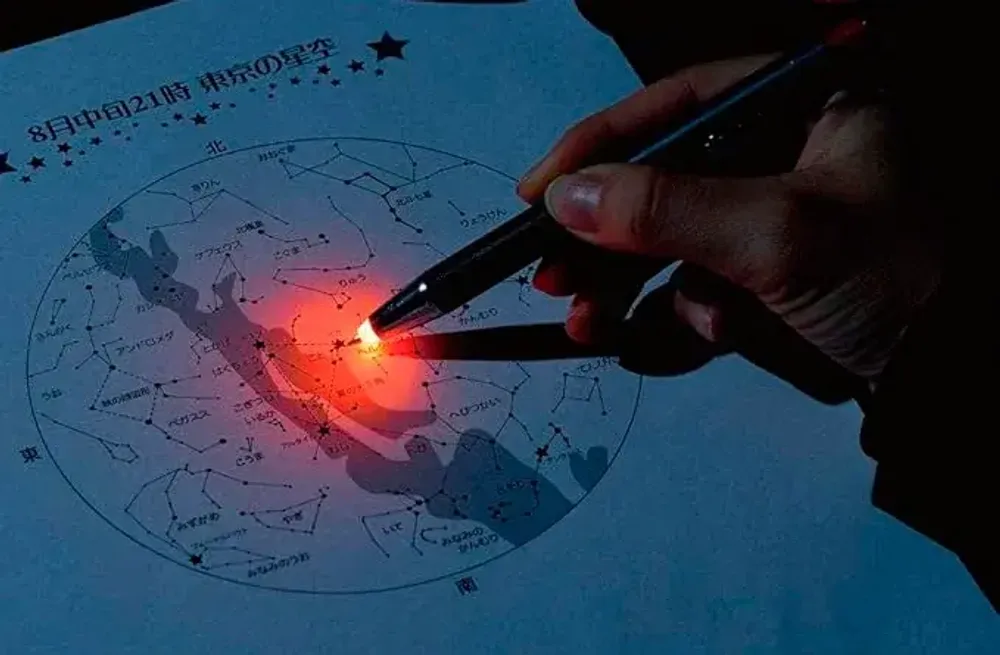 Шариковая ручка Zebra Litewriting Alpha (P-BA96-BR)