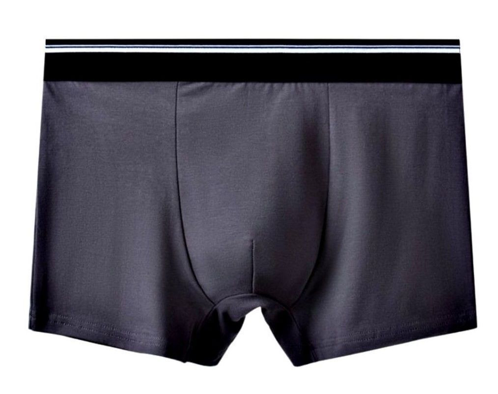 Мужские однотонные трусы-боксеры с резинкой в полоску (Размер: L) (Цвет: темно-серый)