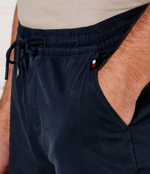 Джогеры TJM AUSTIN Tommy Jeans - темно-синий(DM0DM20456)